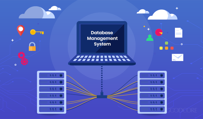 what is a database management system